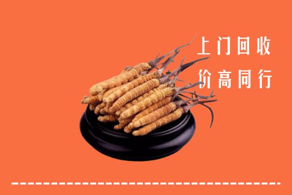 附近收购：威海冬虫夏草回收多少钱每克